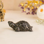 Vastu Pyrite Tortoise (Kachhua) with Premium Plating