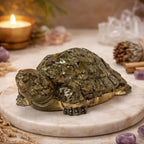 Vastu Pyrite Tortoise (Kachhua) with Premium Plating