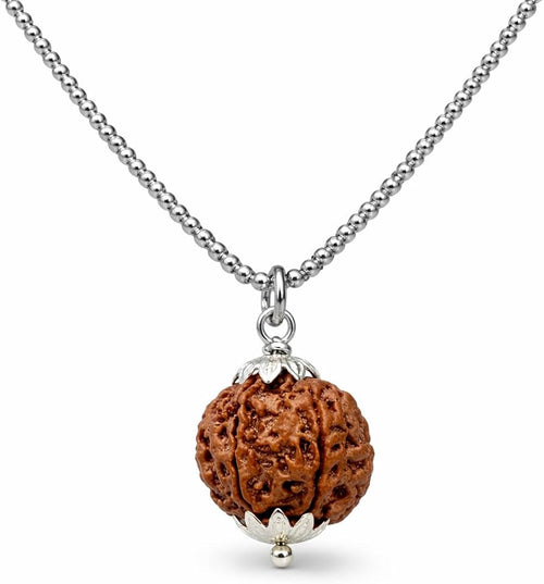 5 Mukhi Rudraksha Pendant – Original Certified Rudraksha