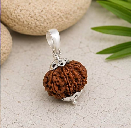 11 Mukhi Rudraksha Pendant – Original Certified Rudraksha