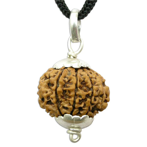 9 Mukhi Rudraksha Pendant – Original Certified Rudraksha