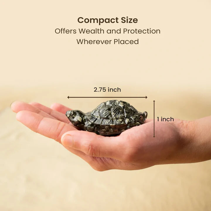 Vastu Pyrite Tortoise (Kachhua) with Premium Plating