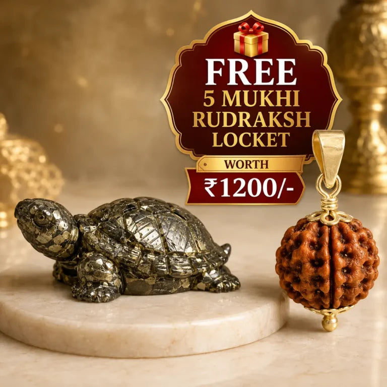 Vastu Pyrite Tortoise (Kachhua) with Premium Plating