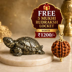 Vastu Pyrite Tortoise (Kachhua) with Premium Plating