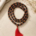 Original Rudraksha & Karungali Mala for Daily Spiritual Use