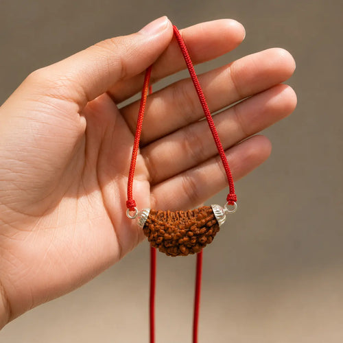 1 Mukhi Rudraksha pandent – Original Certified Rudraksha