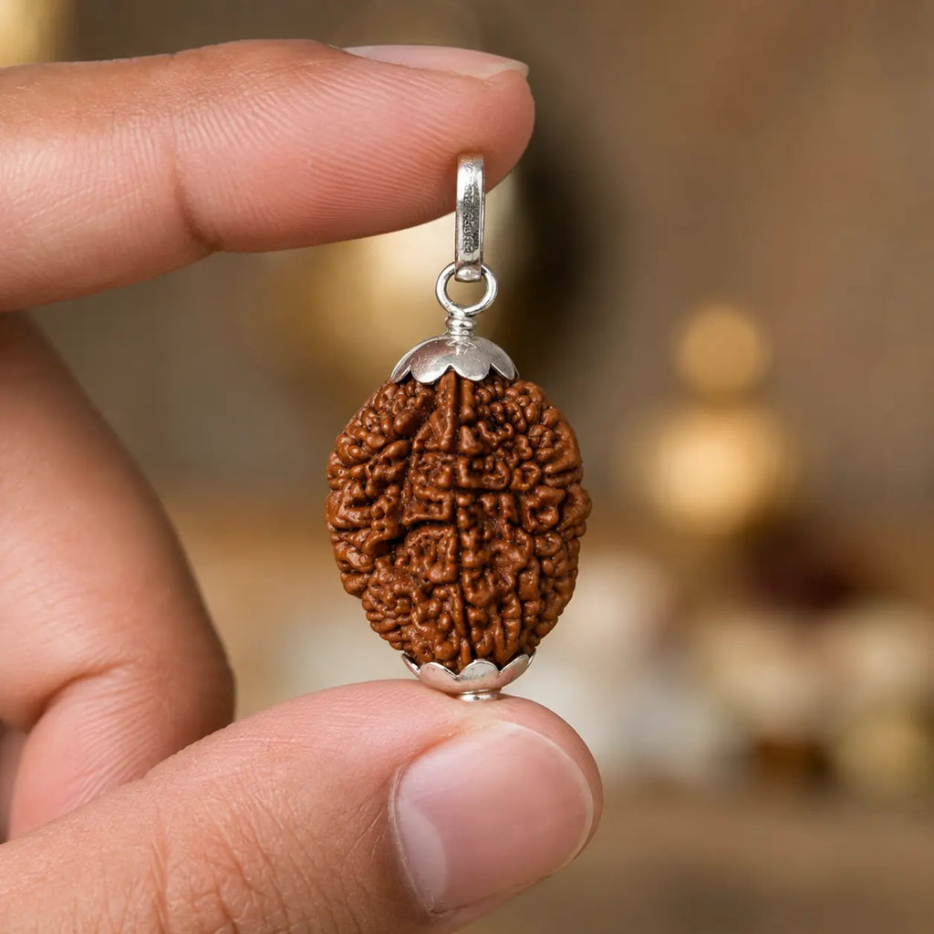 2 Mukhi Rudraksha Pendant – Original Certified Rudraksha