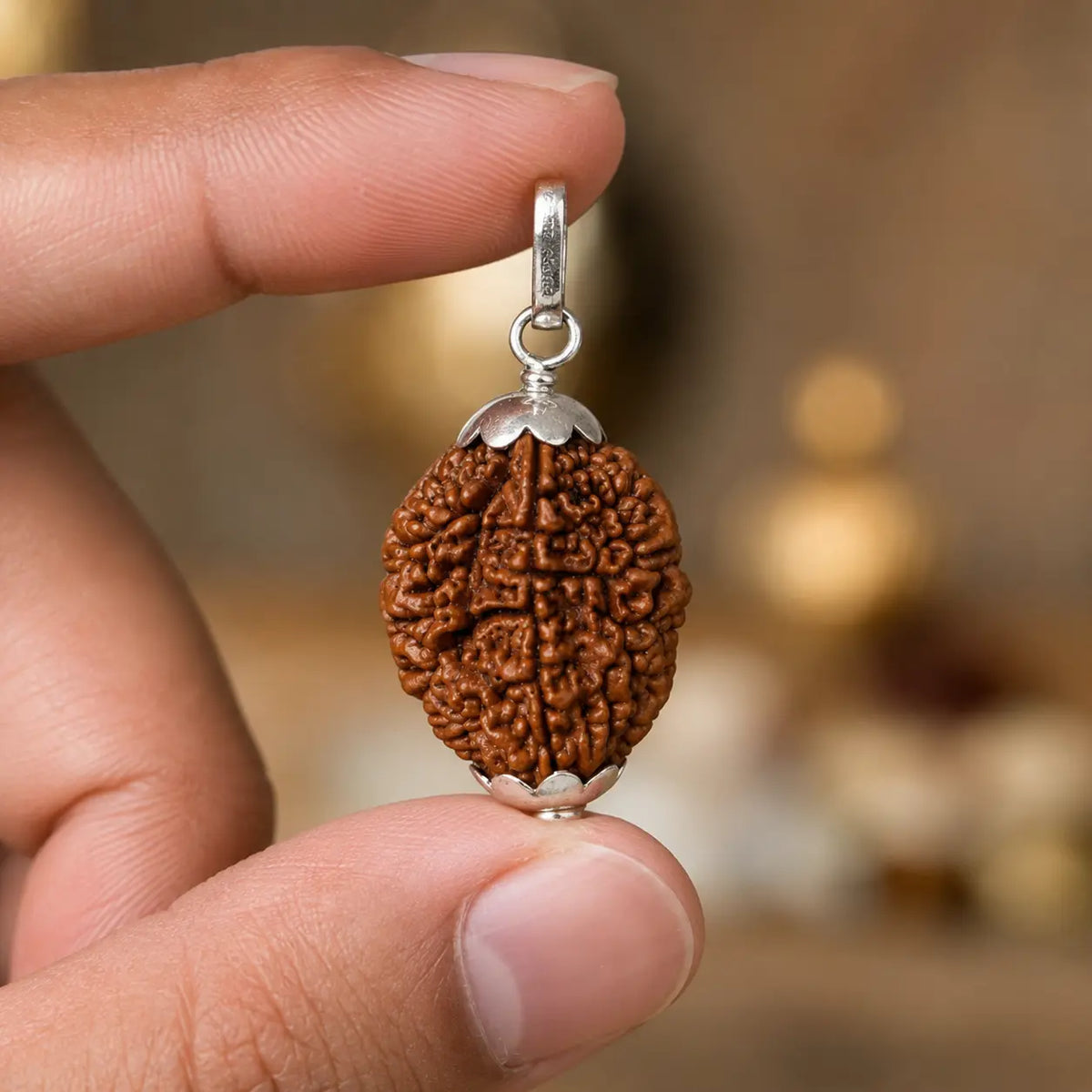 2 Mukhi Rudraksha Pendant – Original Certified Rudraksha
