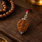 2 Mukhi Rudraksha Pendant – Original Certified Rudraksha
