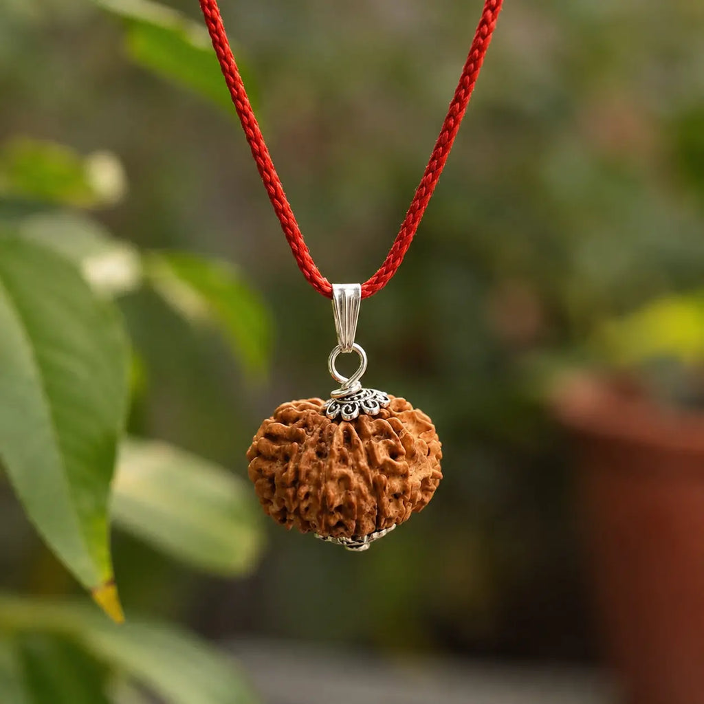 12 Mukhi Rudraksha Pendant – Original Certified Rudraksha