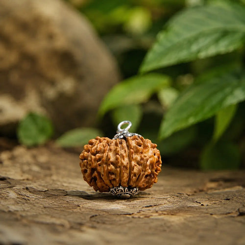 12 Mukhi Rudraksha Pendant – Original Certified Rudraksha
