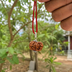 12 Mukhi Rudraksha Pendant – Original Certified Rudraksha