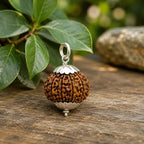 12 Mukhi Rudraksha Pendant – Original Certified Rudraksha