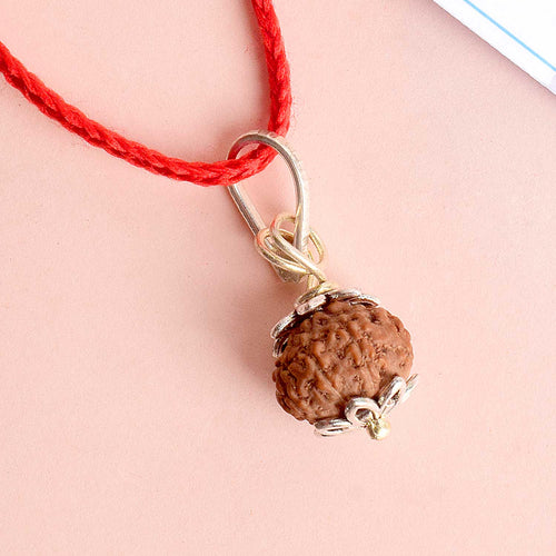 7 Mukhi Rudraksha Pendant – Original Certified Rudraksha