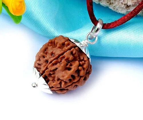 3 Mukhi Rudraksha Pendant – Original Certified Rudraksha