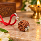 6 Mukhi Rudraksha Pendant – Original Certified Rudraksha