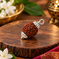 3 Mukhi Rudraksha Pendant – Original Certified Rudraksha