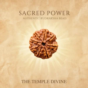 8-mukhi-original-rudraksha-ganesh-vighnaharta-bead