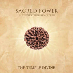 9-mukhi-original-rudraksha-durga-shakti-kavach