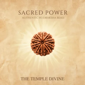 10 Mukhi Original Rudraksha – Vishnu Raksha Bead