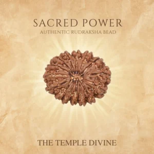 15-mukhi-original-rudraksha-pashupatinath-moksha-bead