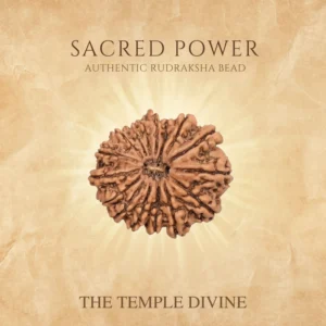 16-mukhi-original-rudraksha-maha-mrityunjaya-raksha