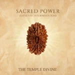 21 Mukhi Original Rudraksha – Tridev Anugrah Bead