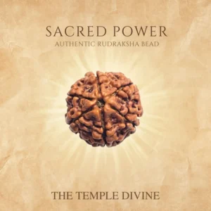 6-mukhi-original-rudraksha-kartikeya-energy-bead